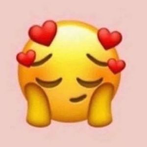 Meet your Posher, Aylin